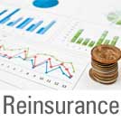 Reinsurance Broking Service in India - Navnit Insurance Broking Pvt Ltd